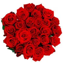 36 Red Roses