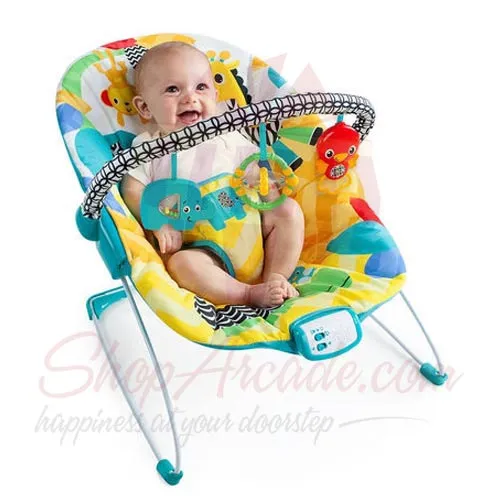 Bouncer With Auto Rocker
